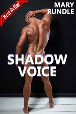 Shadow Voice
